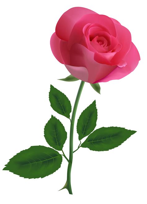 Pink Rose Clipart Free Download On Clipartmag