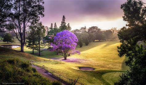 Scaricare Gli Sfondi Campo Da Golf Parco Paesaggio Sfondi Gratis Per