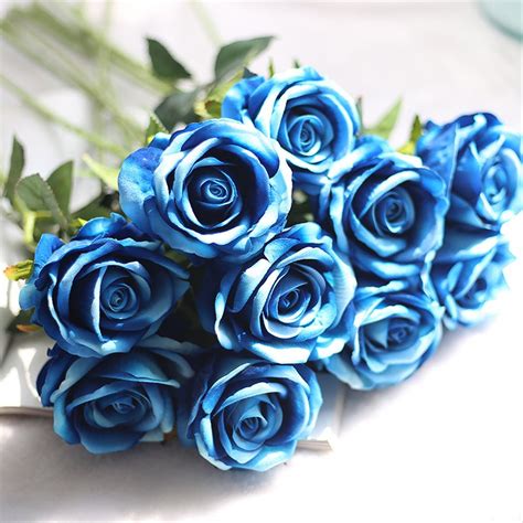 Rangkaian Bunga Mawar Biru Terindah Png