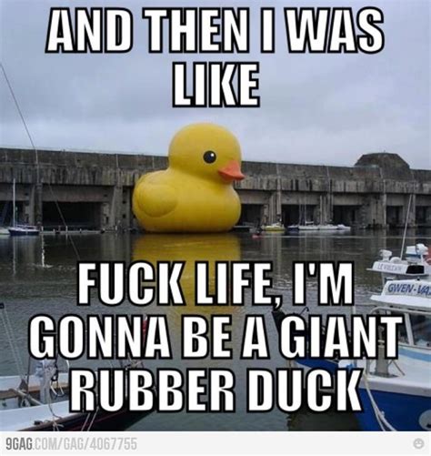 There Is Always Another Way Really Funny Memes Duck Memes Aussie Memes