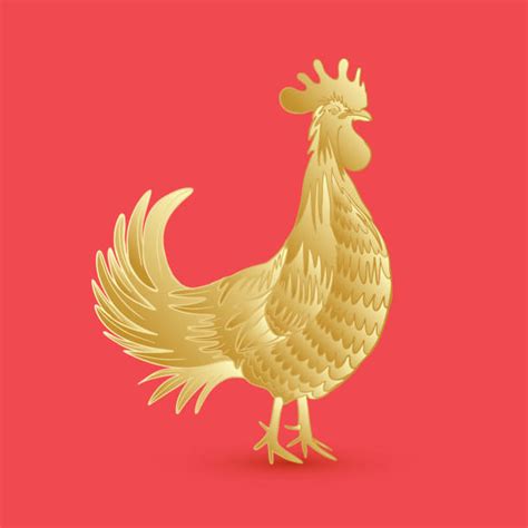 4500 Golden Rooster Stock Photos Pictures And Royalty Free Images Istock