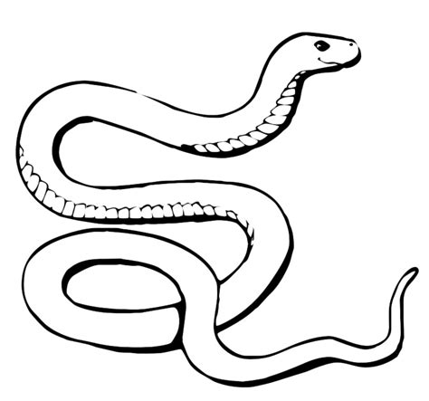 ← post precedente post precedente:disegni animali kawaii da colorare. Animali - Serpente