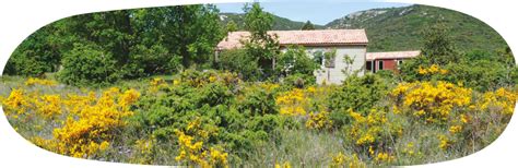 Une Gites Ardeche Domaine De Briange