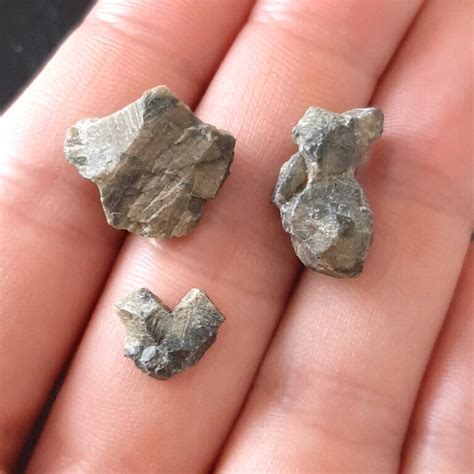 Tatahouine Meteorite Diogenite Observed Fall Lot Meteolovers
