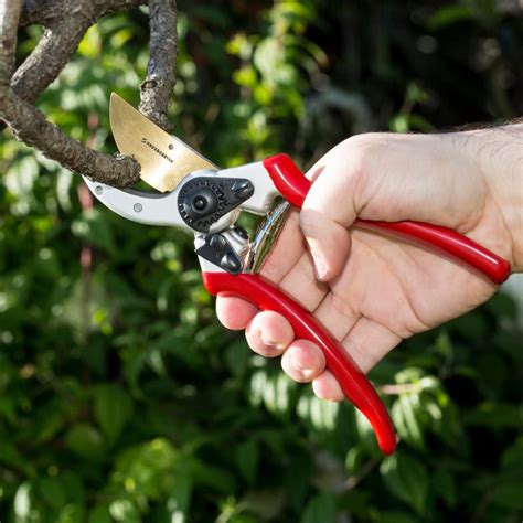 8 Best Pruners Reviews That Will Trim Your Garden To Precision Tool Box