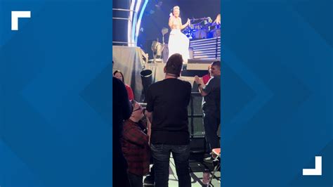 Louisville Couple Engaged During Pink S Concert