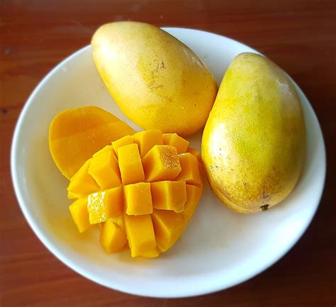 Come Coltivare Il Mango