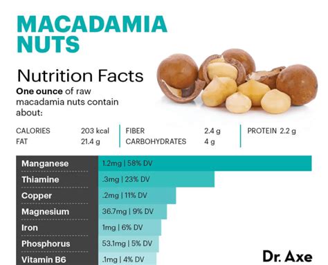 Macadamia Nuts Benefits Nutrition And How To Roast Dr Axe