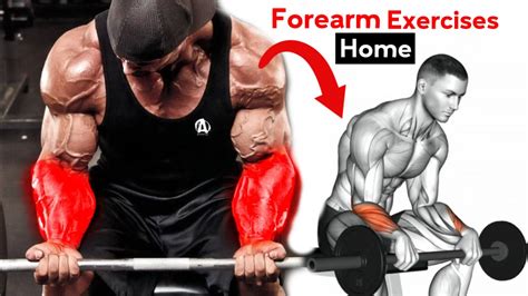 Best 5 Forearm Exercises For Big Forearms Full Forearm