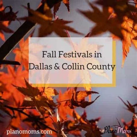 Over 28 Of The Best Fall Festivals Near Me In Dallas