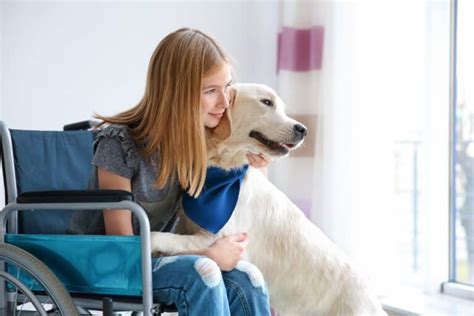 Dsa provides community support and employment services for more than 2000 people with a disability each year. Disability Services Cessnock | ConnectAbility Australia