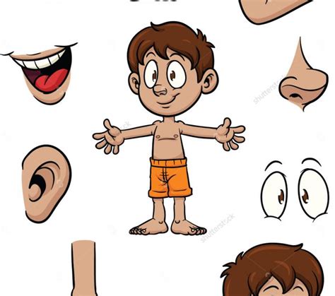 Parts of the body male. Parts Of The Body Clipart | Free download on ClipArtMag