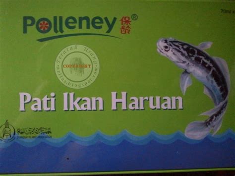 Amalkan kesegaran dan rasa ash ikan haruan setiap hari sebagai sebahagian diet kesihatan anda. Polleney Pati Ikan Haruan.