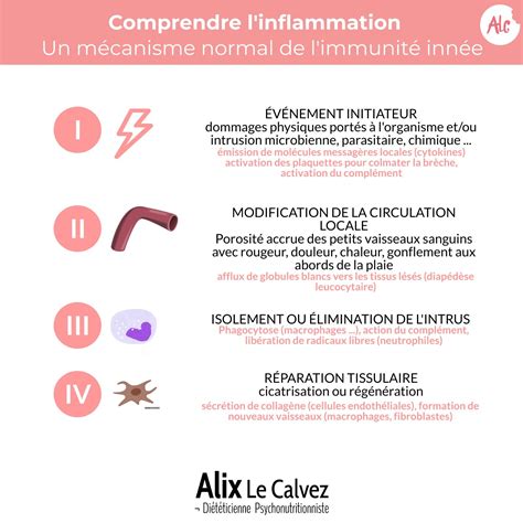 Comprendre Linflammation Chronique Et Comment Elle Peut Impacter Notre