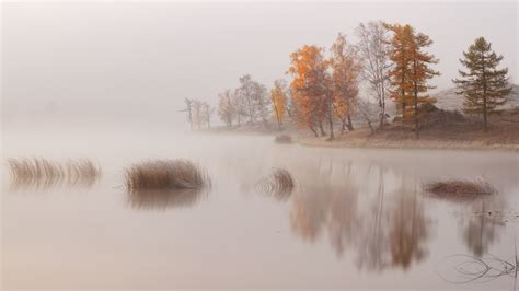 Nature Landscape Trees Water Lake Mist Morning Fall Reflection