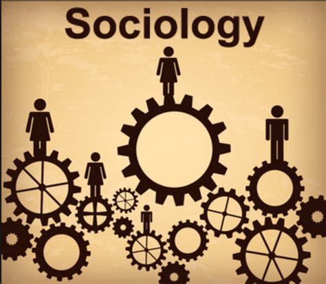 12 Signs Youre A Sociology Major