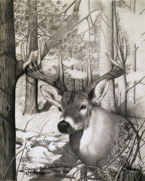 Pin By Ellen Bounds On Deer Sketches Western Art Deer Art Western