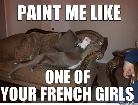 Pitbull Memes French Pitbull By 5 Ojesus Meme Center
