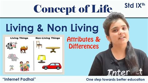 difference in living and non living जीवन की अवधारणा सजीव व निर्जीव में अंतर 9b11 youtube