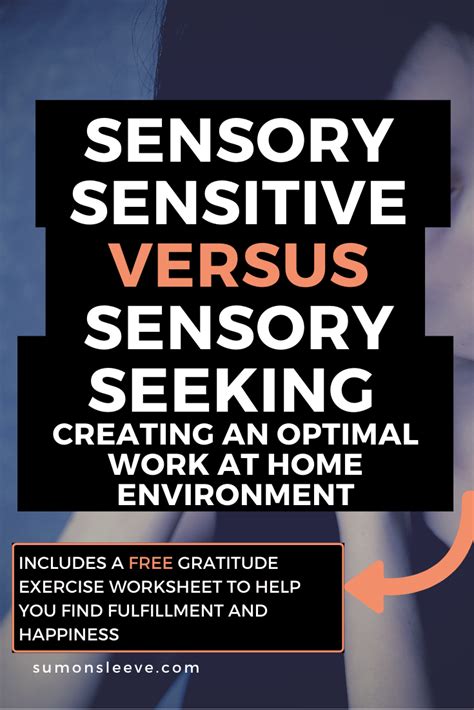 Sensory Seeking Versus Sensory Sensitive Creating An Optimal Working
