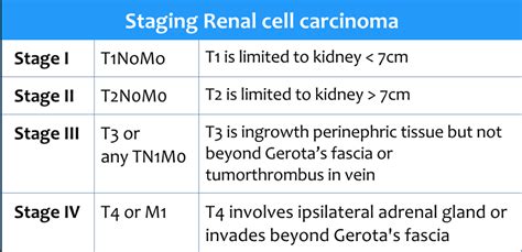 Stage 3 Renal Cell Cancer Prognosis Cancerwalls