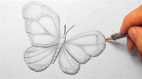 Katze malen einfach luxus 25 best katze zeichnen lernen. Schmetterling, zeichnen im Zeitraffer (Butterfly, drawing ...