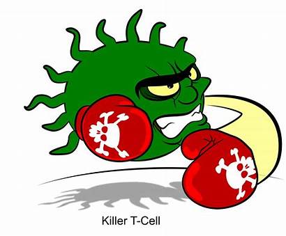 Cell Killer Blood Immune Bacteria Macrophage System