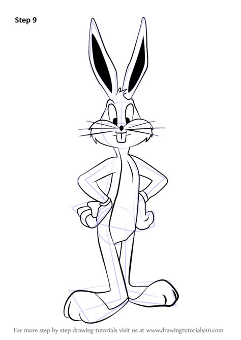 Learn How To Draw Bugs Bunny From Looney Tunes Looney Tunes Step By