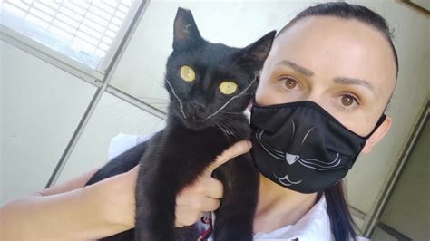 Black Airport Cat Is Passport Control Workers Lucky Charm Israel21c