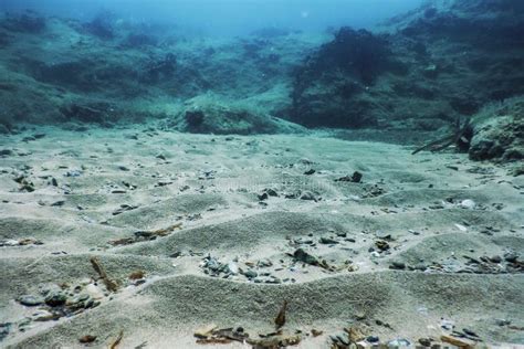 Sea Life Underwater Rocks Sunlight Underwater Life Stock Photo Image