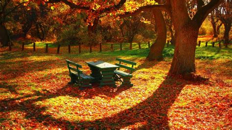 Green Wooden Table With Two Benches In The Middle Of Autumn Forest With