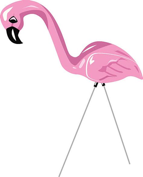 Plastic Flamingo Illustrations Royalty Free Vector Graphics And Clip Art