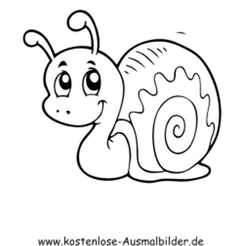 Große sammlung ausmalbilder zum malen. Ausmalbilder Schnecke 5 - Tiere zum ausmalen | Malvorlagen Schnecken