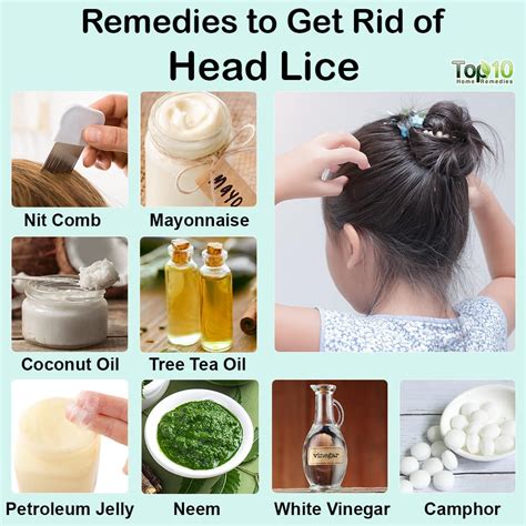 Home Remes To Get Rid Of Lice Eggs In Hair Tutorial Pics