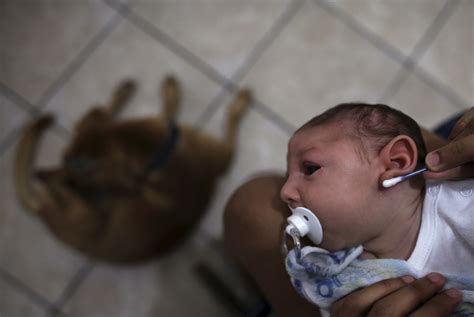 The zika virus is is prompting worldwide concern because of an alarming connection to a neurological birth disorder and its rapid spread across the globe. Does Zika Cause Birth Defects? CDC Finds 'Strongest ...