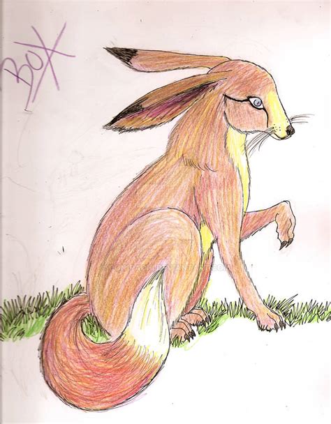 Fox Rabbit Hybrid By Don Pachi On Deviantart