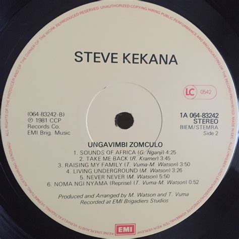 Steve kekana raising my family. Compartilhando Reggae: Steve Kekana - Rising My Family LP ...