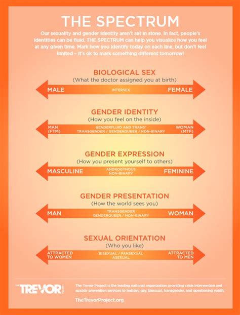 53 best visualizing gender identity binaries spectrums and more images on pinterest