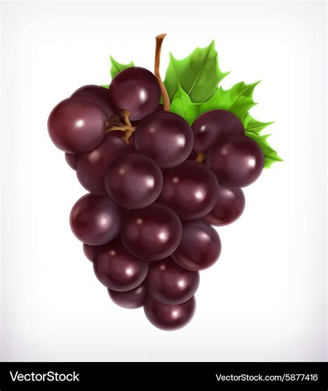 Bunch Of Grapes Royalty Free Vector Image Vectorstock