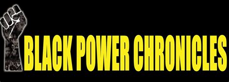 bridges to black power black power chronicles