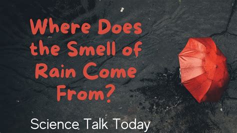 Where Does The Smell Of Rain Come From Science Talk Today Youtube