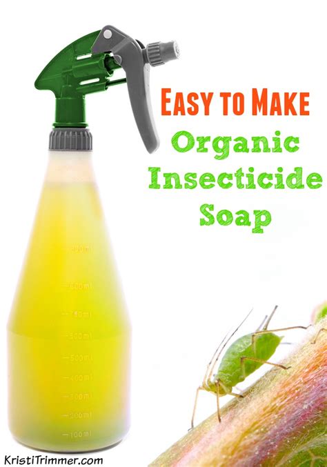 Easy To Make Organic Insecticide Soap