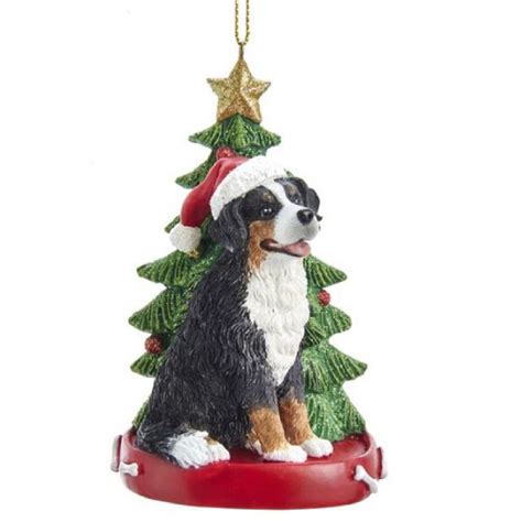 Bernese Mountain Dog Wearing Santa Hat With Christmas Tree Ornament