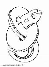 Squid Coloring Giant Colouring Gaint Clipart Printable Library Line sketch template