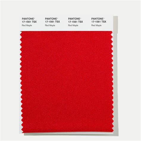 Buy Pantone Polyester Swatch 17 1561 Red Maple