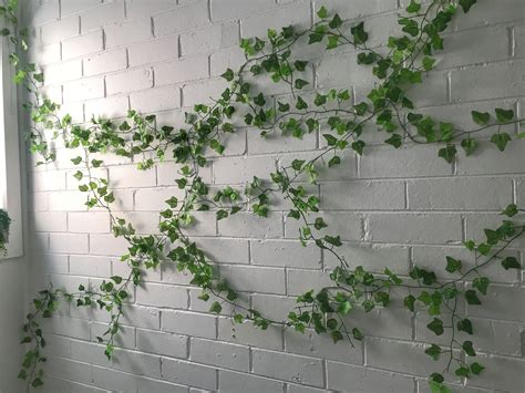 Indoor Ivy Wall Growing On Bricks Greenwall Ivy Wall