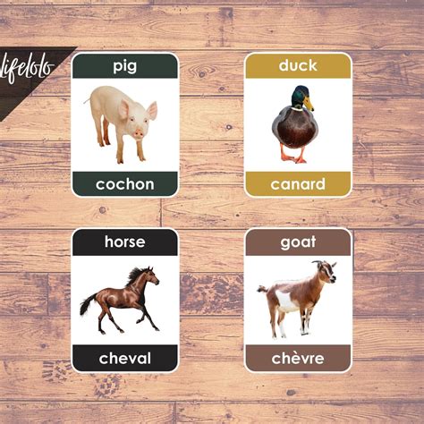 Farm Animals French Flash Cards Bilingual Homeschool