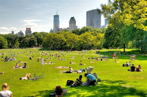 Many People Are Sitting On The Grass In A Park With Skyscrapers In The