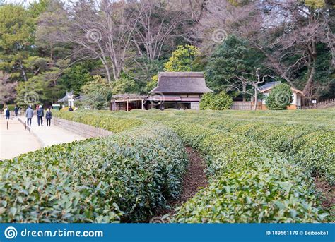 Tea Garden At Korakuen Garden In Okayama Japan Korakuen Was Built In