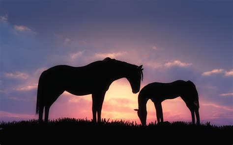 Horses In Sunset Wallpapers Wallpaper Cave
